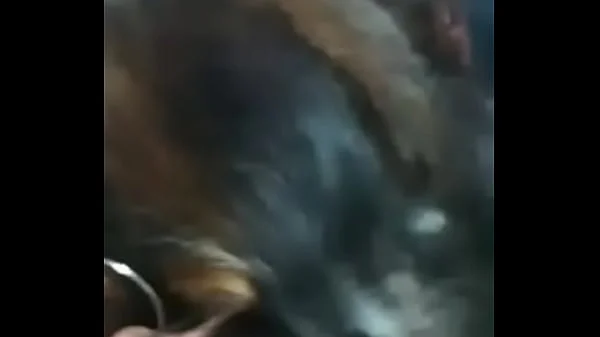 Dandole por el culo 21 cm